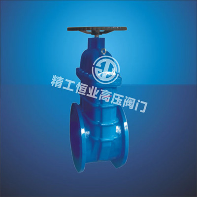 大口径弹性座封闸阀