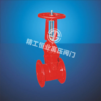 消防专用明杆弹性座封闸阀