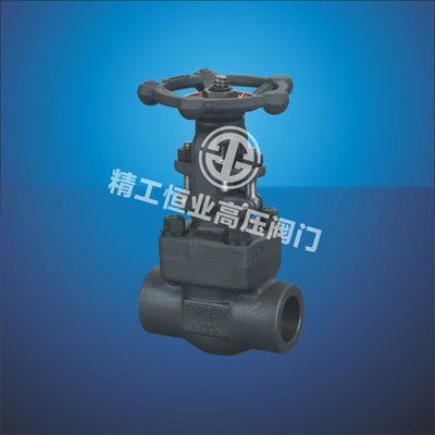 锻钢内螺纹、承插焊闸阀