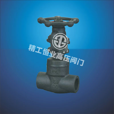 锻钢内螺纹、承插焊闸阀