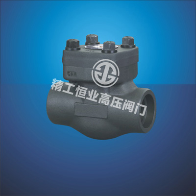 国标、美标锻钢内螺纹、承插焊止回阀