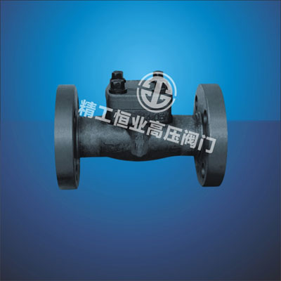 国标、美标锻钢法兰止回阀