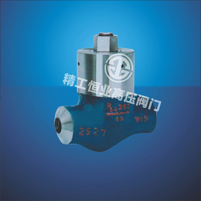 电站升降式、旋启式止回阀