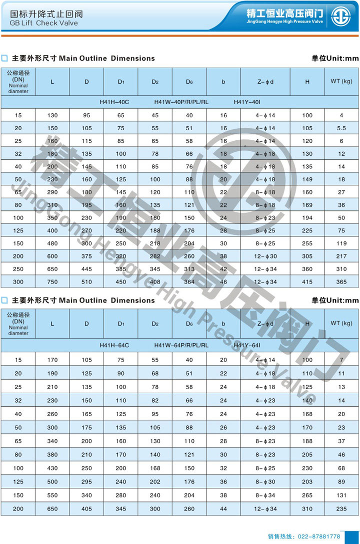 国标升降式止回阀 国标升降式止回阀